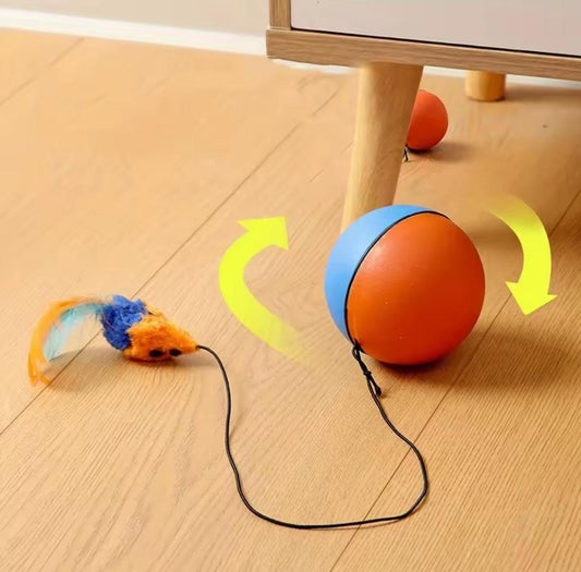 WhirlPlay Smart interactive cat ball.