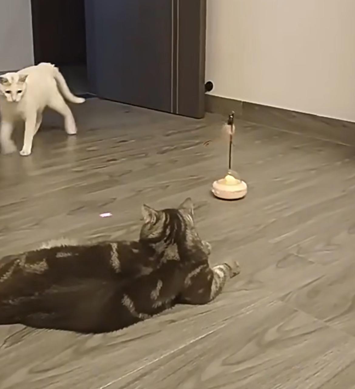 Snuff & Coze – LaserChase UFO