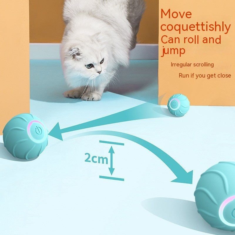 PurrChase Smart Play Ball