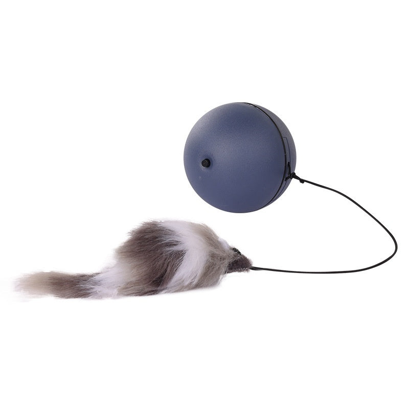 WhirlPlay Smart interactive cat ball.