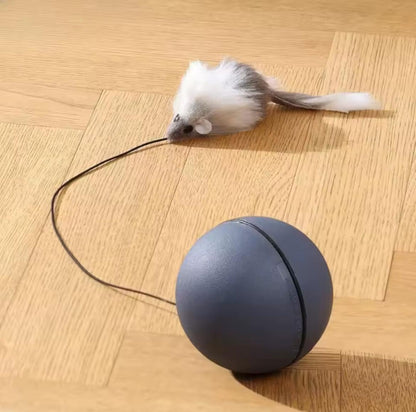WhirlPlay Smart interactive cat ball.