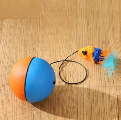 WhirlPlay Smart interactive cat ball.