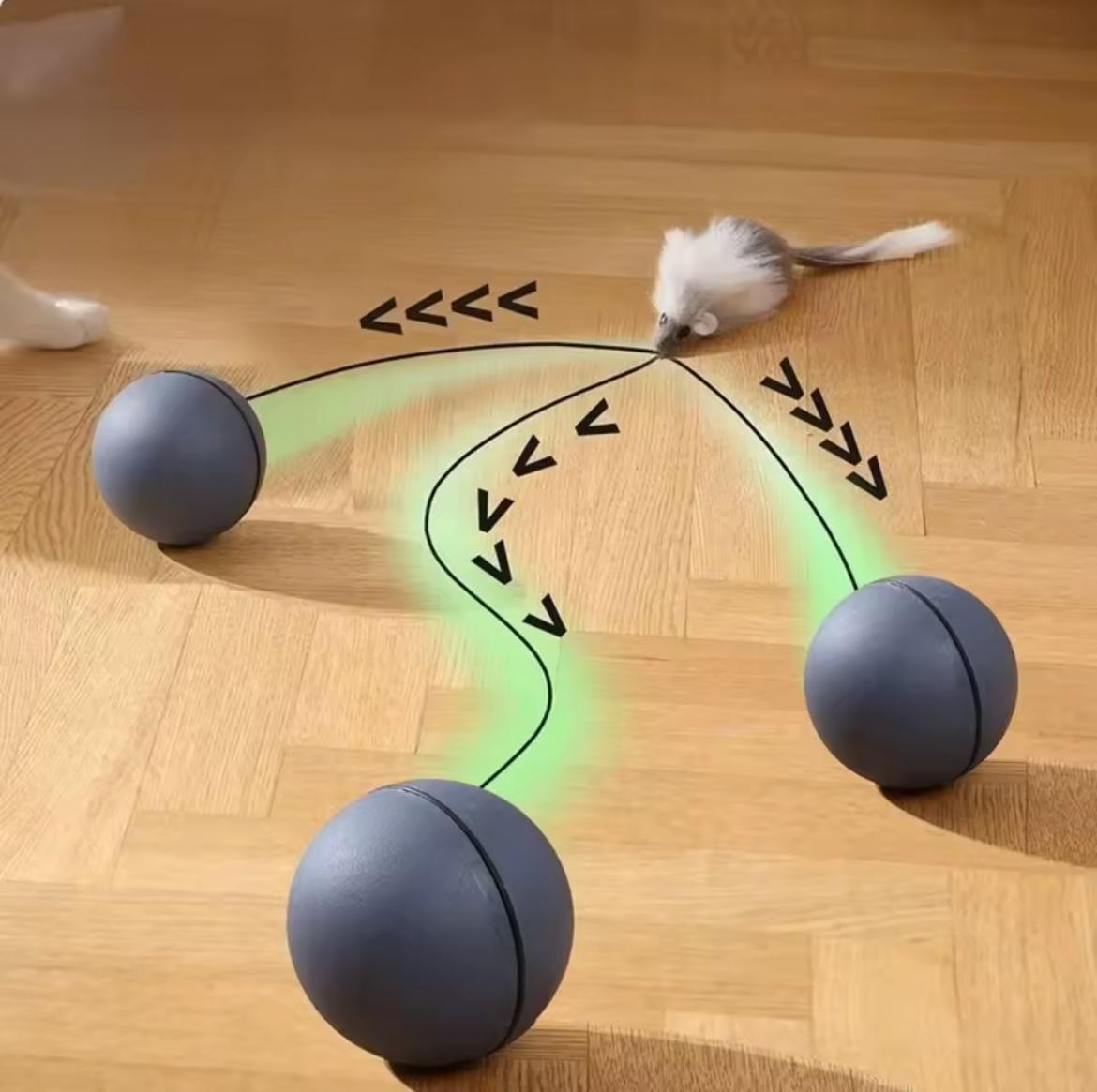 WhirlPlay Smart interactive cat ball.
