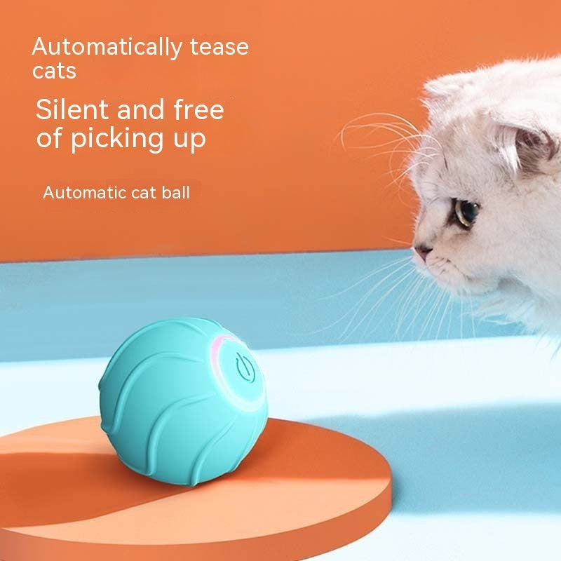 PurrChase Smart Play Ball