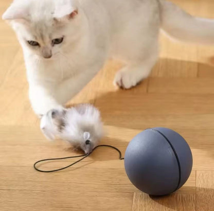 WhirlPlay Smart interactive cat ball.