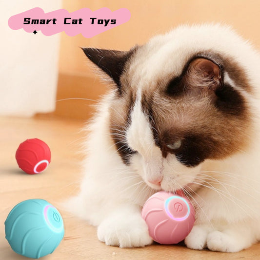 PurrChase Smart Play Ball
