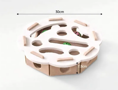 PawMaze – Intelligent Cat Puzzle with 360° Search & Discovery Game