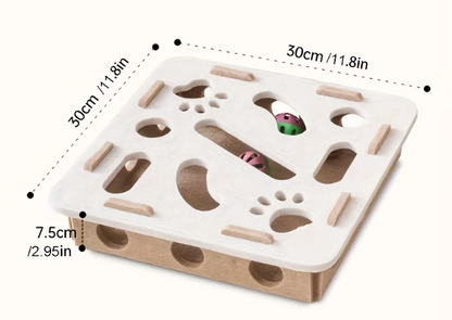 PawMaze – Intelligent Cat Puzzle with 360° Search & Discovery Game