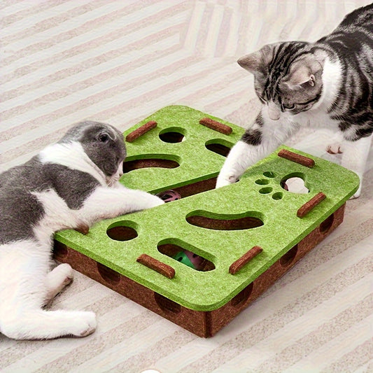 PawMaze – Intelligent Cat Puzzle with 360° Search & Discovery Game
