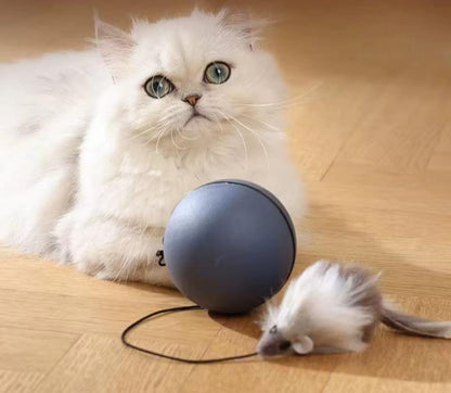 WhirlPlay Smart interactive cat ball.